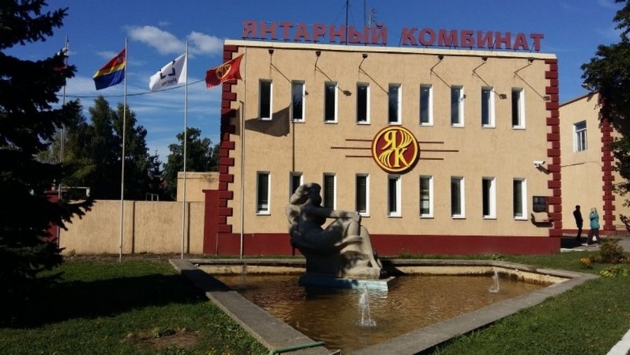 Крупный янтарный самородок, найденный в Калининградской области, назвали «Крымским»