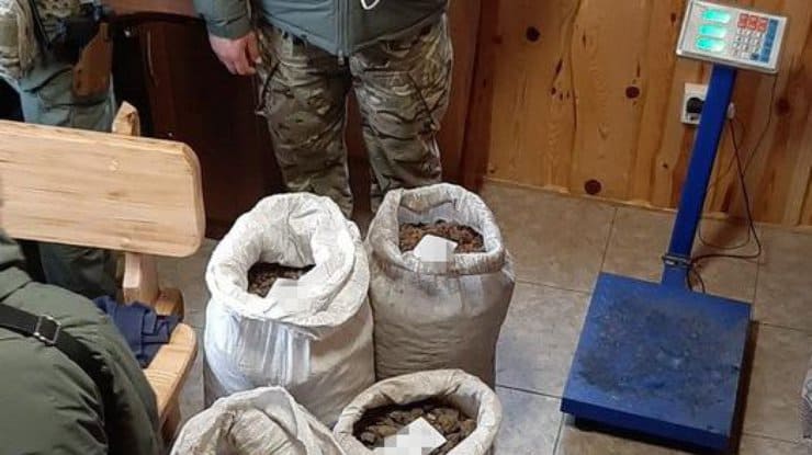 В Ровенской области арестован полицейский, "крышевавший" добытчиков янтаря