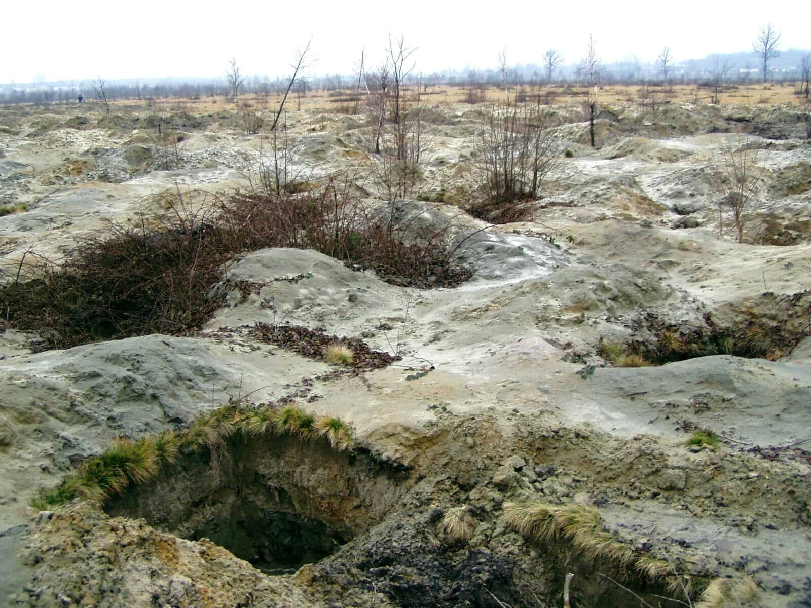 Экологи назвали потери Украины от незаконной добычи янтаря