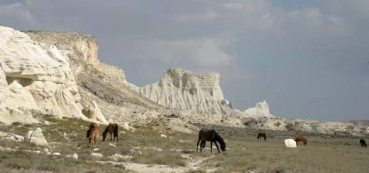 Гранат и янтарь перерабатывали в поселении Каракаба