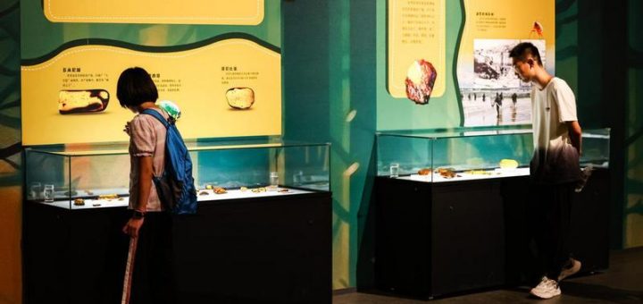 Музей Хэбэя представляет уникальную экспозицию янтаря