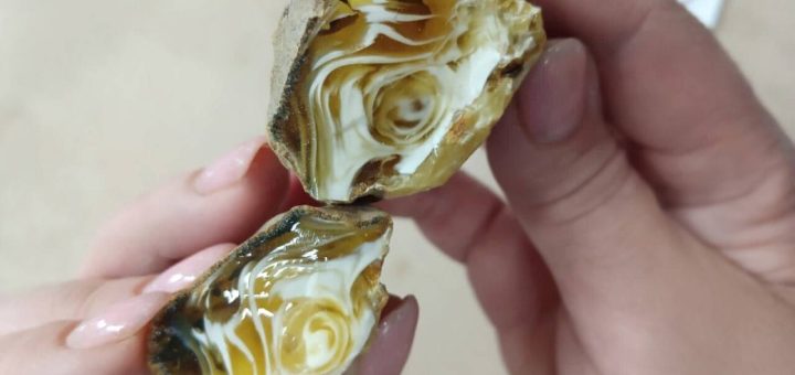 Калининградский комбинат добыл образец, сочетающий в себе матовый и прозрачный янтарь